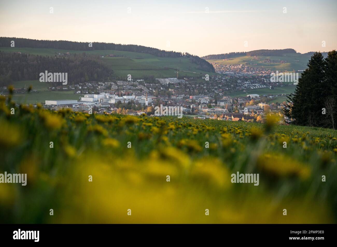 village of Konolfingen with a wildflower field in spring Stock Photo