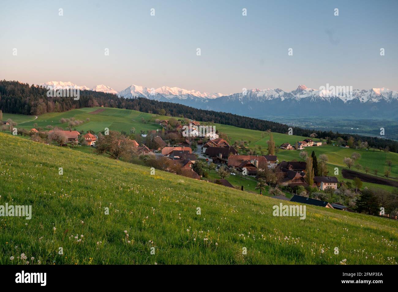 village of Häutligen in spring with  Niesen and aStockhorn in the distance Stock Photo