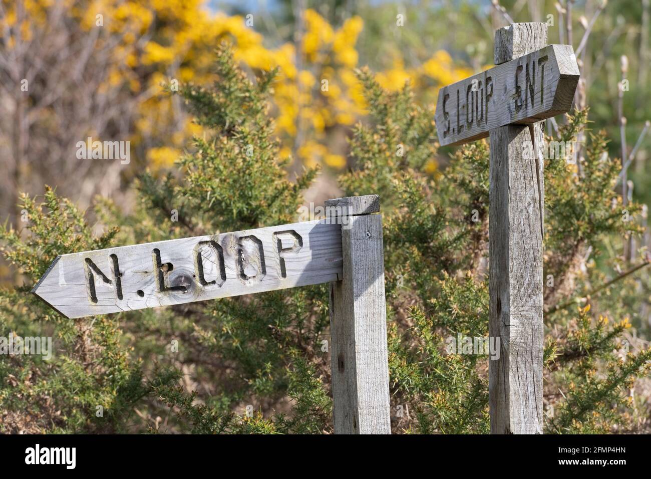 Wooden Signposts on the Community Footpath Through Bogindhu Woodland ...