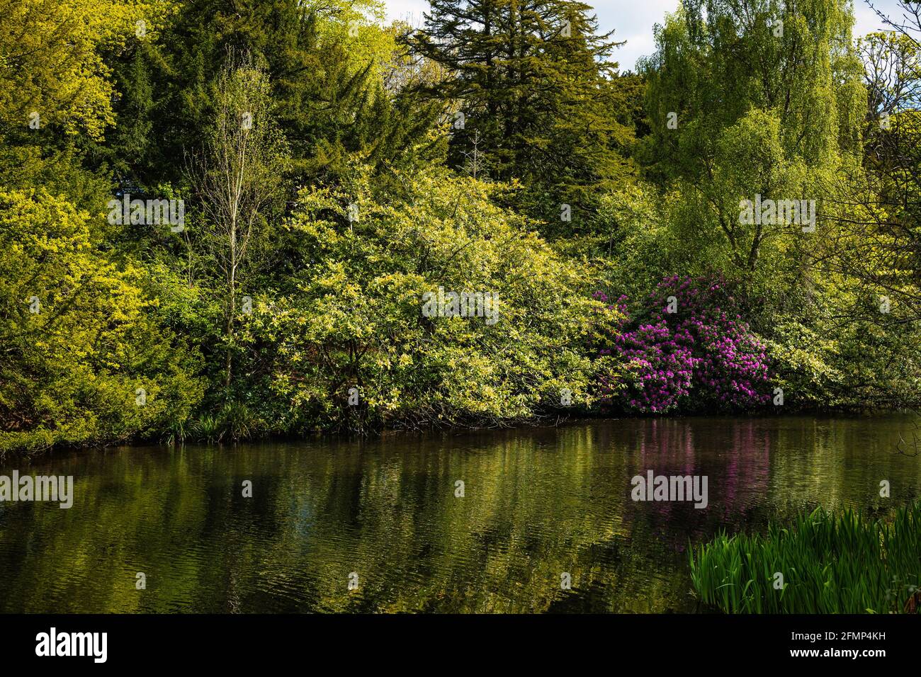 East Lothian, Scotland, United Kingdom, 11th May 2021. UK Weather