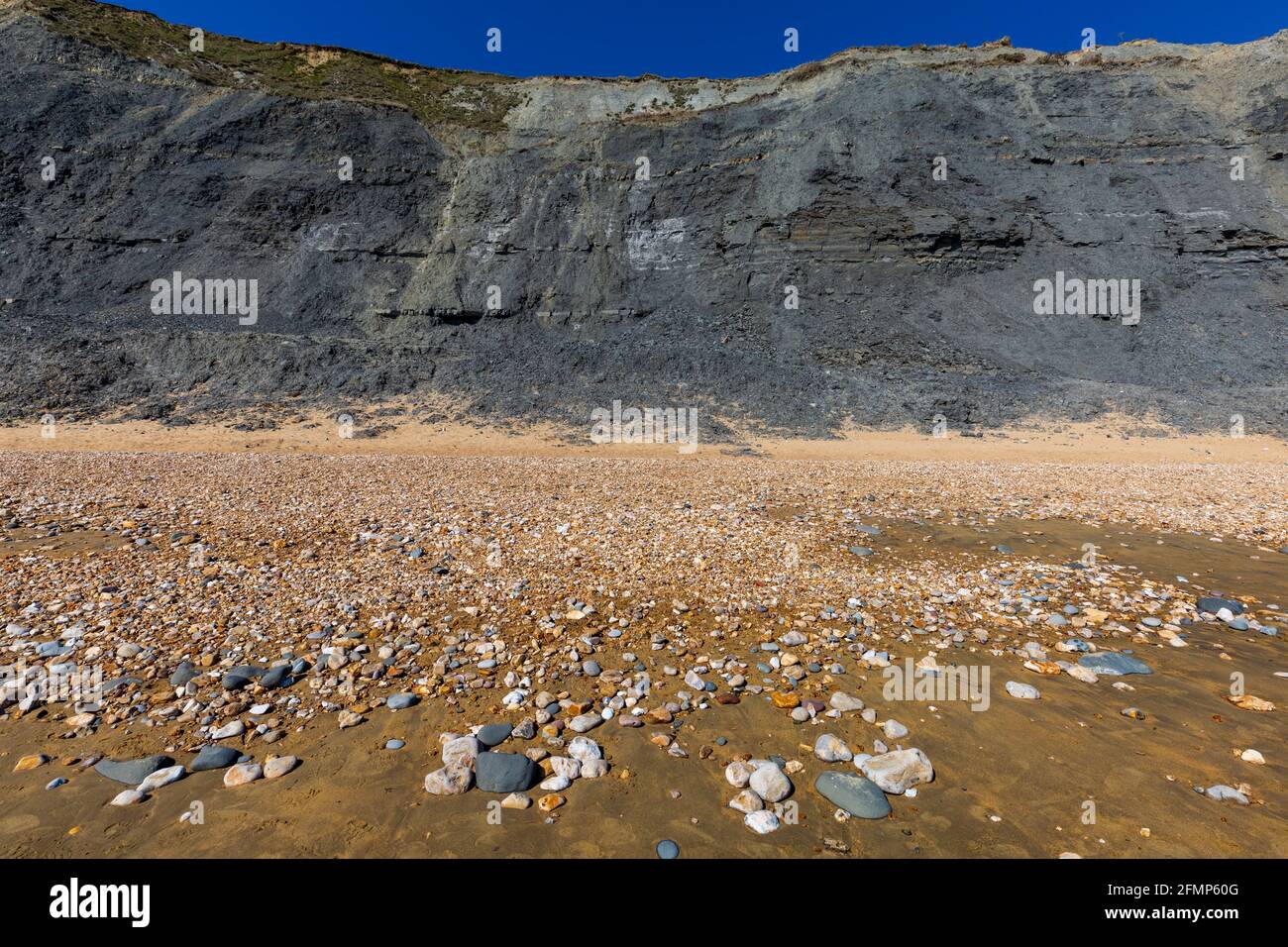 The grey fossil cliffs of Cain's Folly on Charmouth beach, Jurassic Coast, Dorset, England Stock Photo