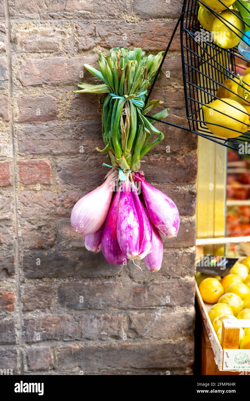 Purple bulb attached to a house wall Stock Photo