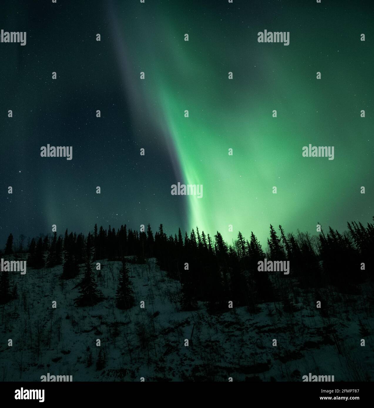 Auroras dancing over Fairbanks, Alaska! Stock Photo