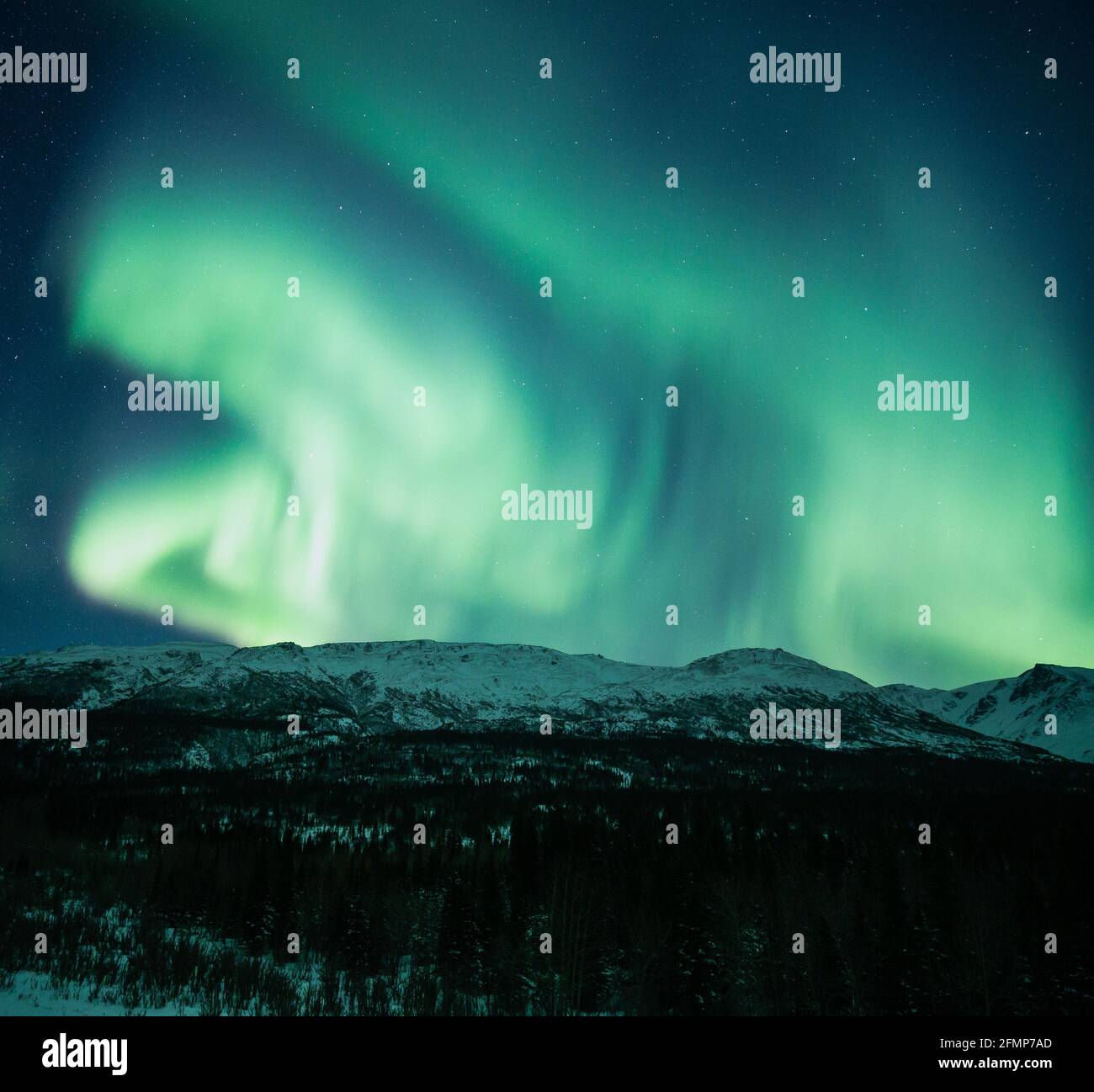 Auroras dancing over Fairbanks, Alaska! Stock Photo