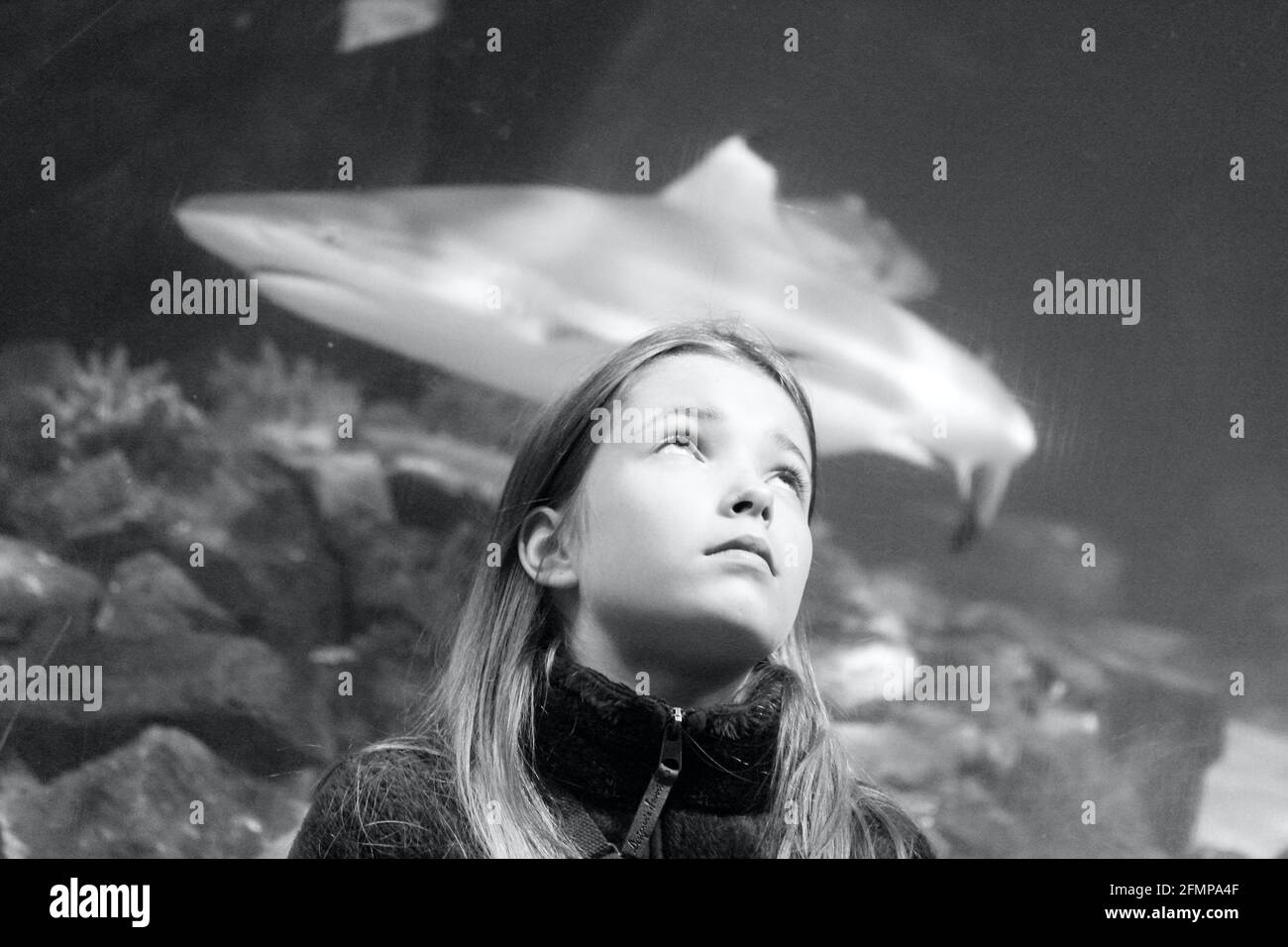 A blonde girl, watching the fish Stock Photo