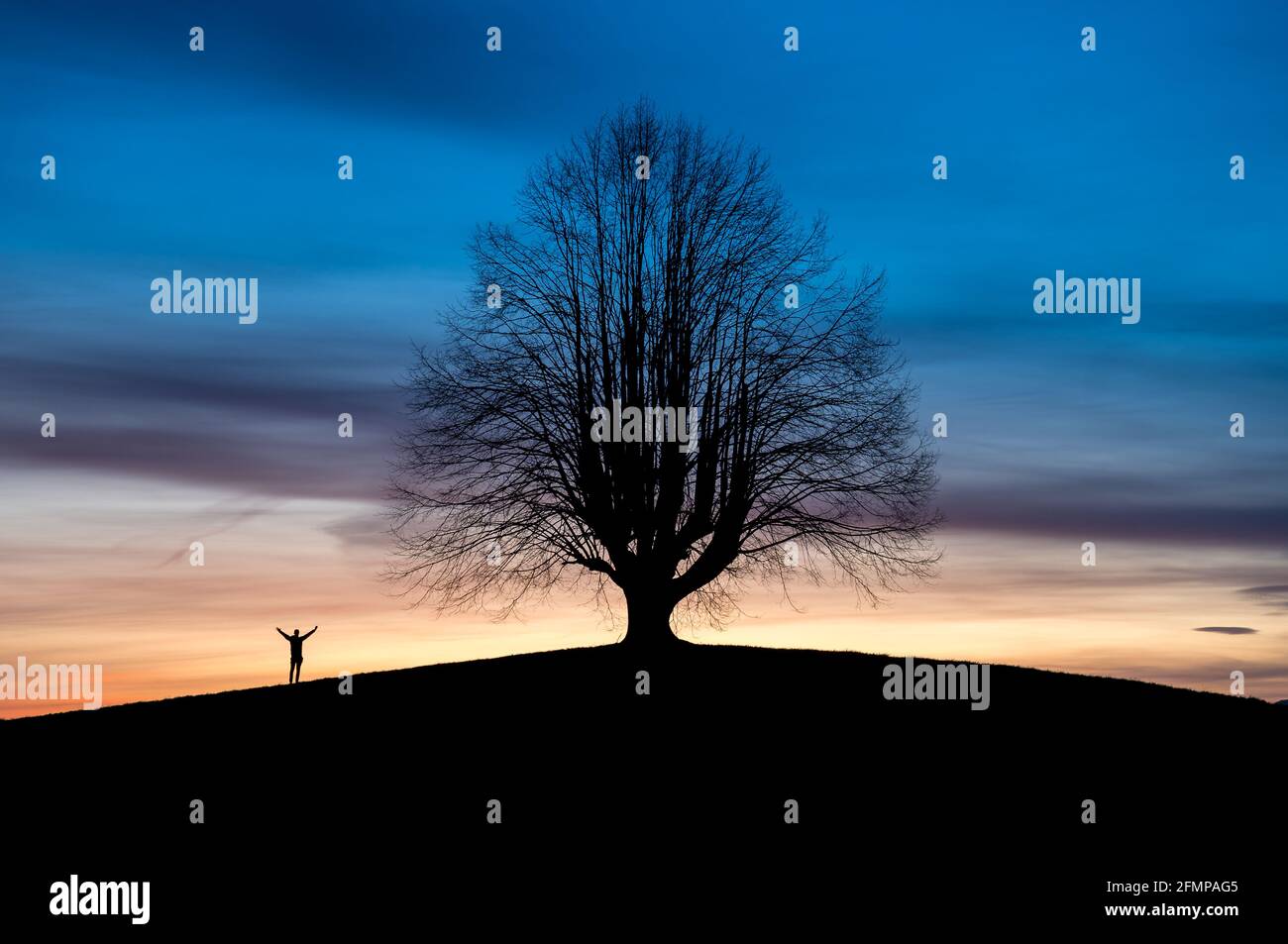 man with outstreched arms and silhouette of an oldgrown tree at sunrise in Gürbetal Stock Photo