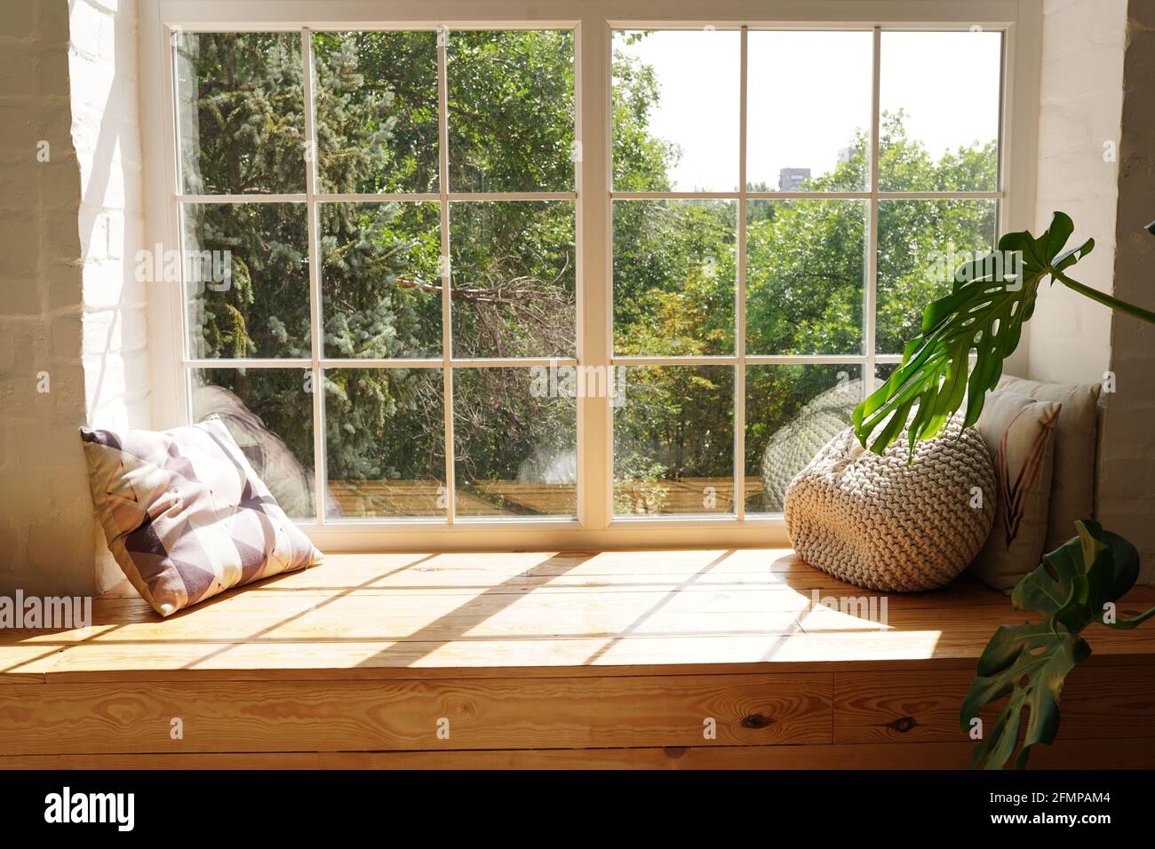 Bright scandinavian room interior with green plant monstera and