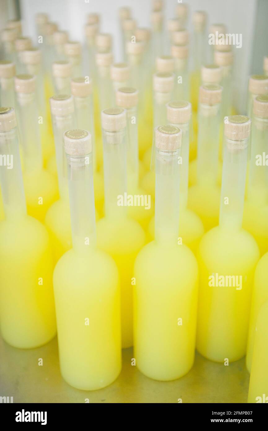 Bottles of Limoncello, a typical liqueur produced in the Amalfi Coast, obtained by maceration of