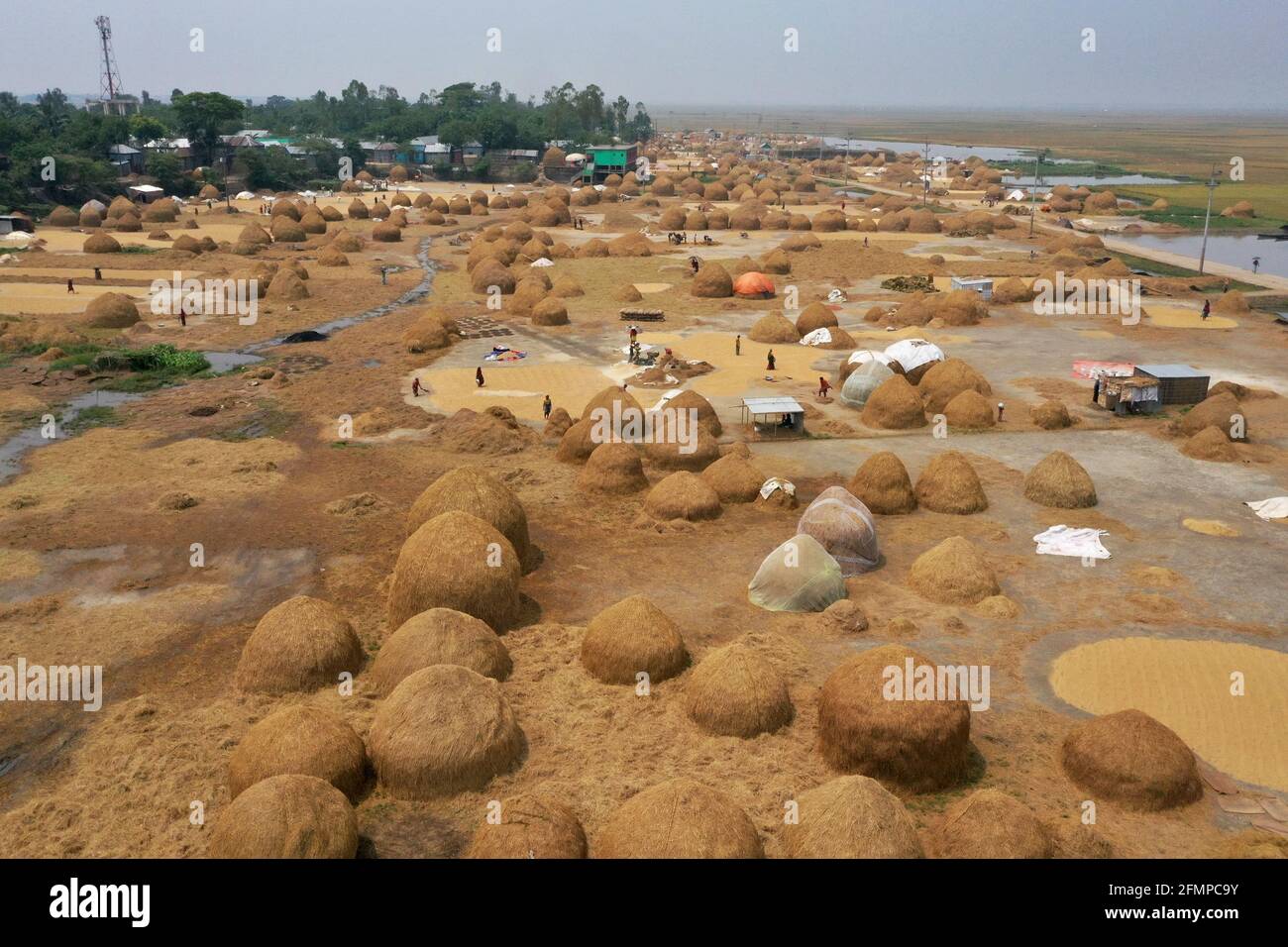 Paddy boiling hi-res stock photography and images - Alamy