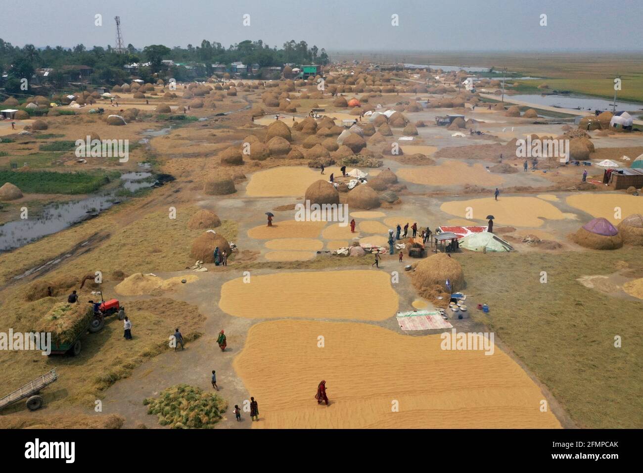Paddy boiling hi-res stock photography and images - Alamy
