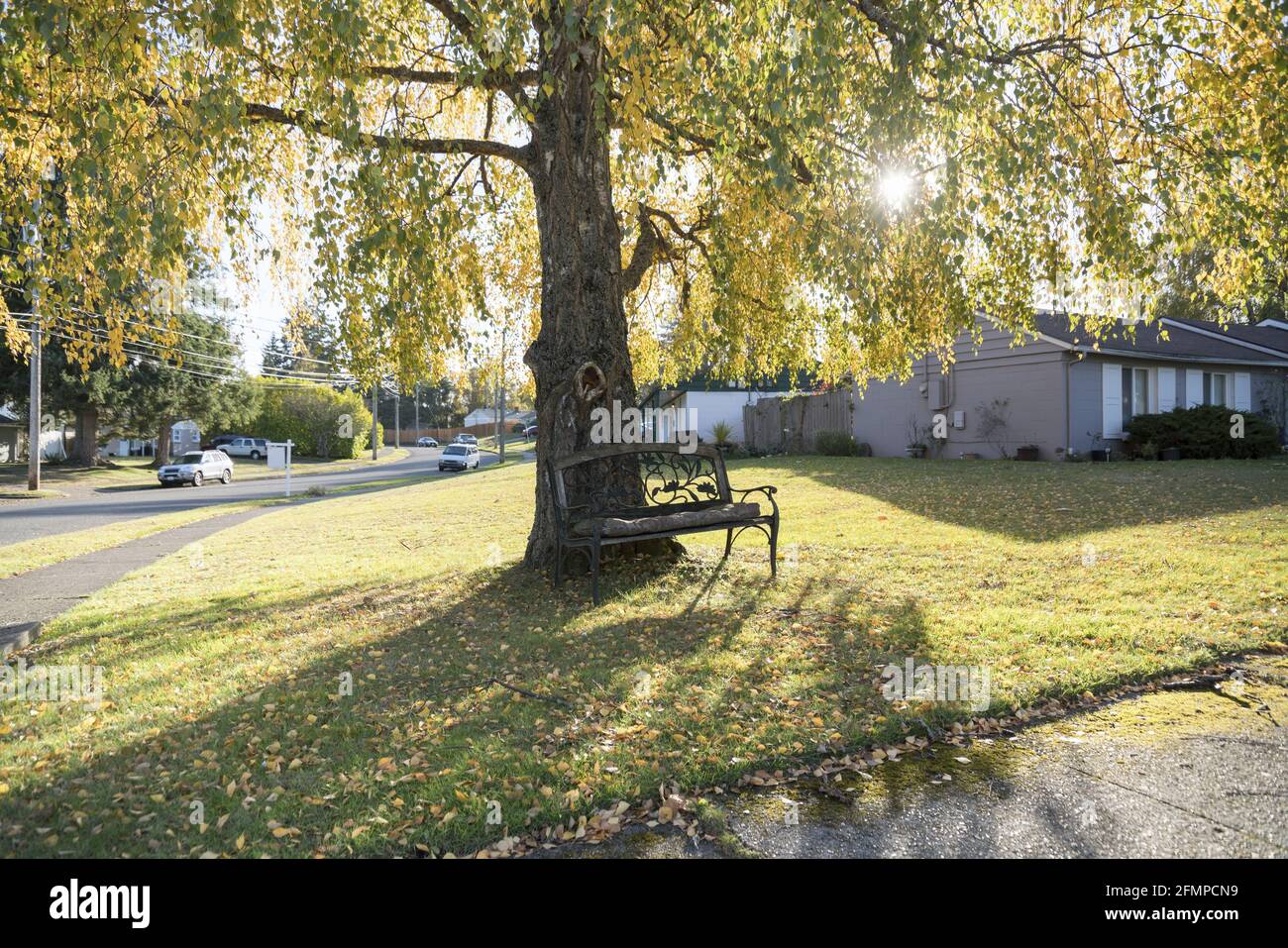 Beautiful shot park wooden bench hi-res stock photography and images ...