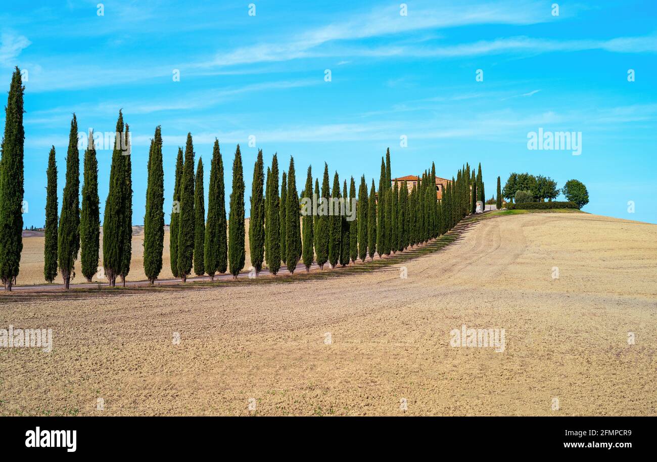 Italy, Tuscany, rural landscapes of the Val D'Orcia Stock Photo