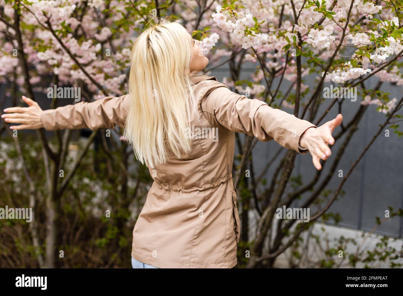 Pretty woman in cherry blossom garden, spring time Stock Photo - Alamy