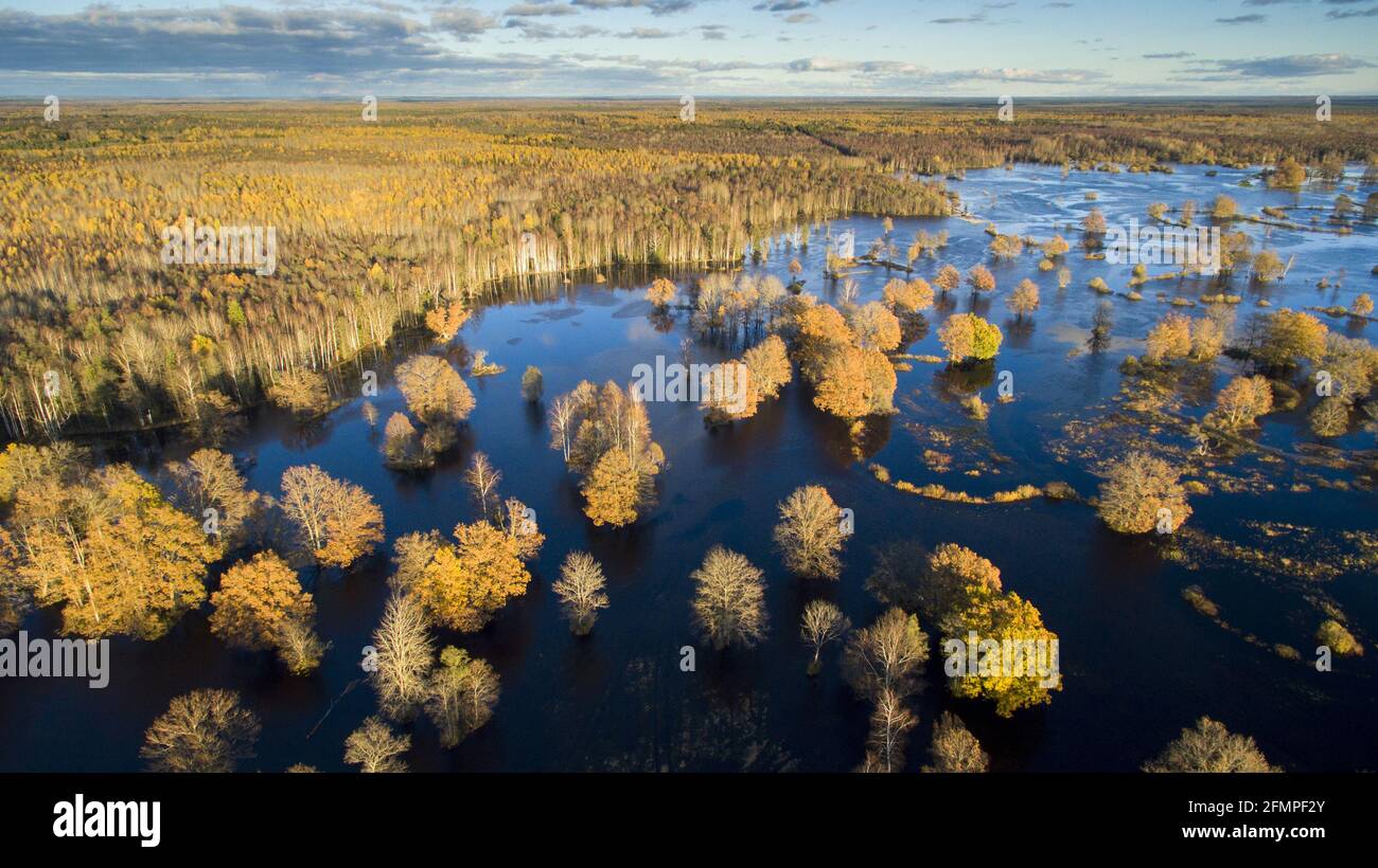 Autumn scenery of a peaceful lake and golden trees Stock Photo - Alamy