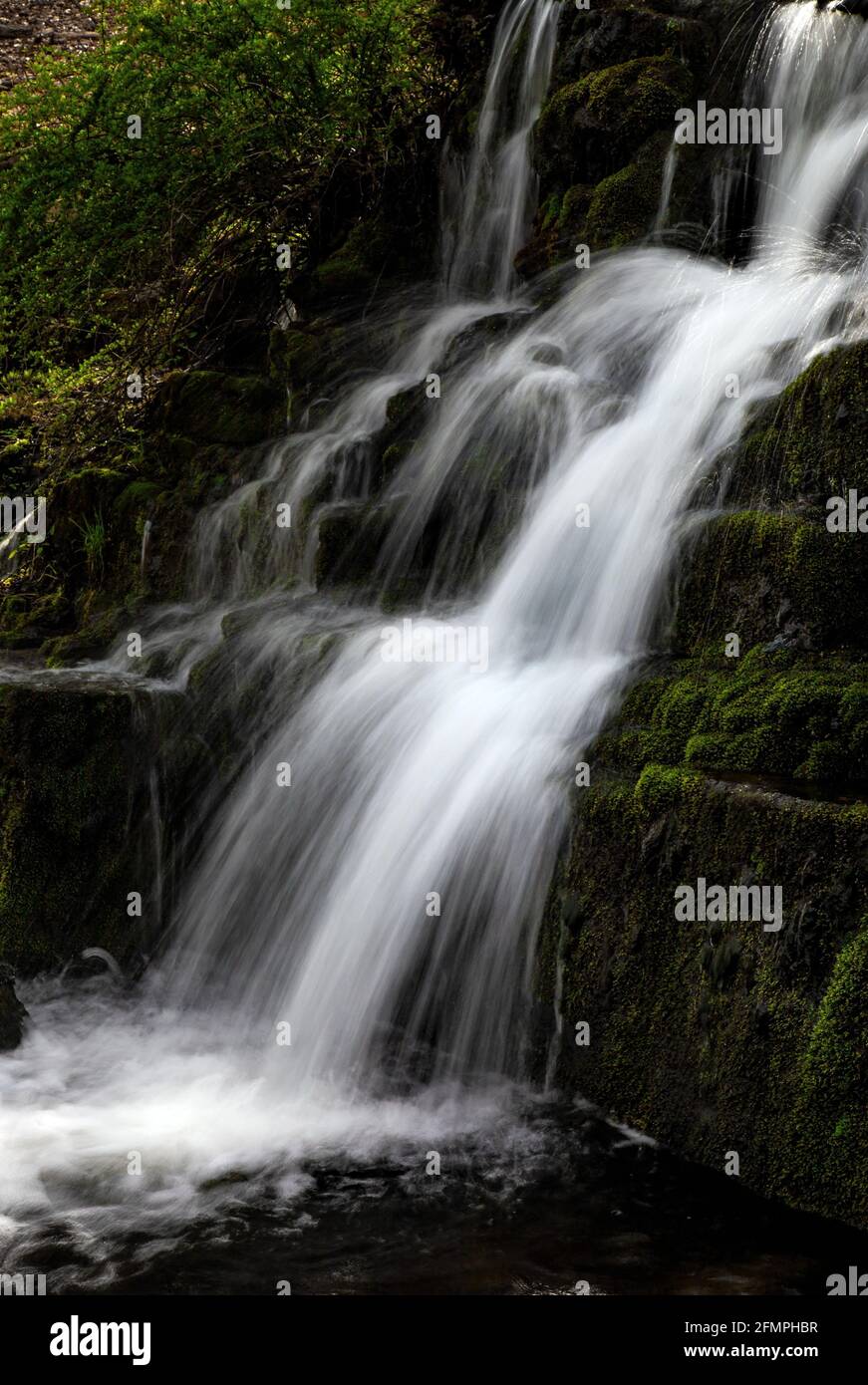 A small waterfalls along Mill Creek in the Delaware Water Gap National