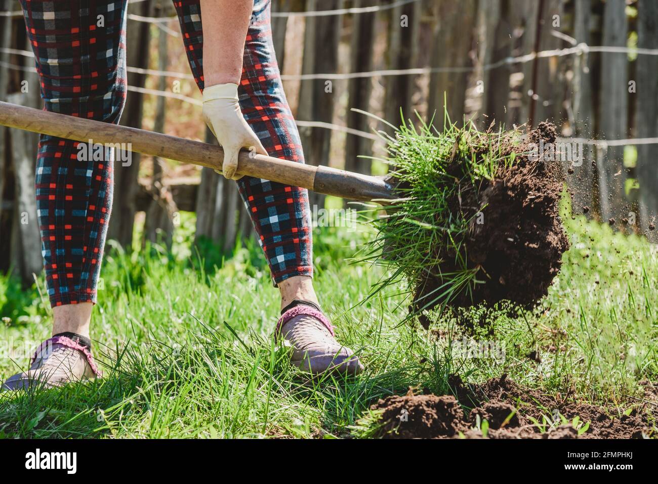 Woman digs earth with a shovel in her garden in the village Stock Photo ...