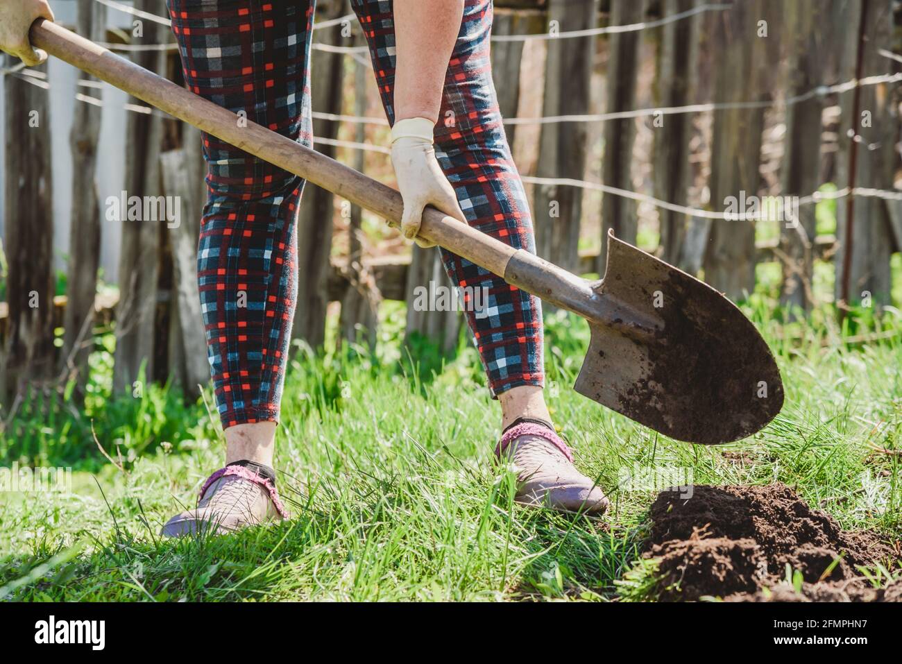 Woman digs earth with a shovel in her garden in the village Stock Photo ...