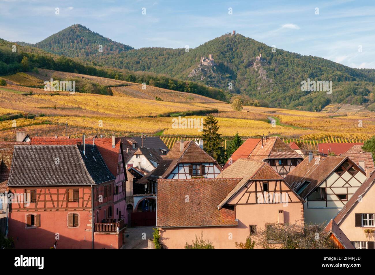 Hunawihr, listed as one The Most Beautiful Villages of France, Alsace wine routeHaut-Rhin (68), Grand Est region, France Stock Photo