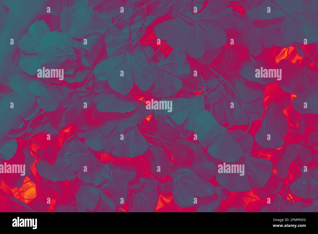 Red and blue abstract deciduous dark background. Stock Photo