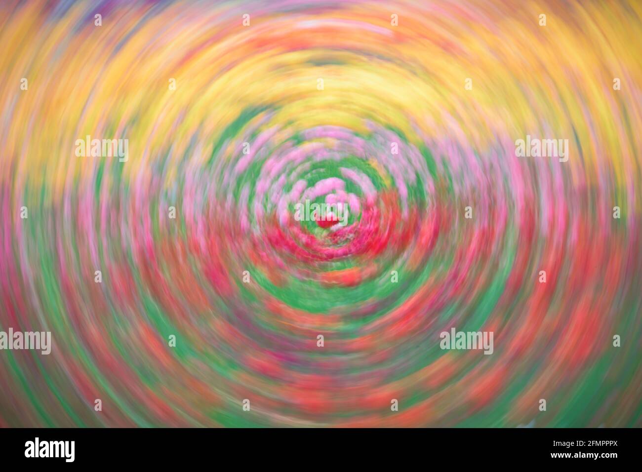 Spinning blur abstract of a tulip field in Holland, Michigan forms abstract background Stock Photo