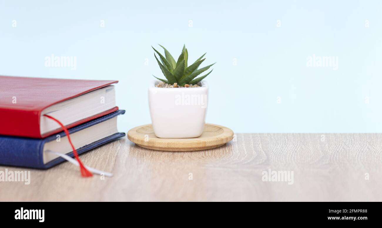 Minimal business composition with plant and diary on wooden desk Stock Photo