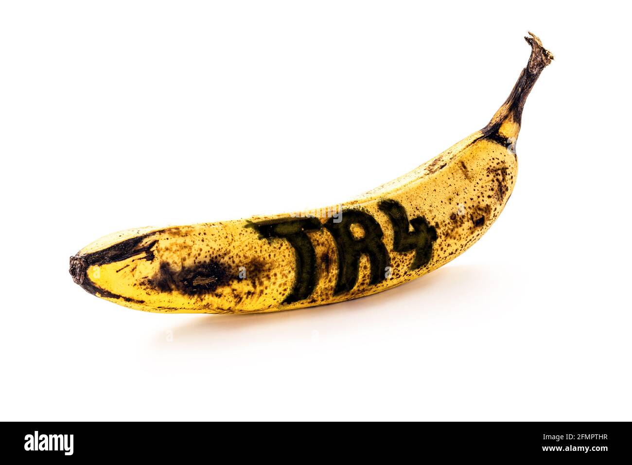 banana contaminated by Fusarium oxysporum fungus, called tr4, banana extinction risk. english text written TR 4 Stock Photo