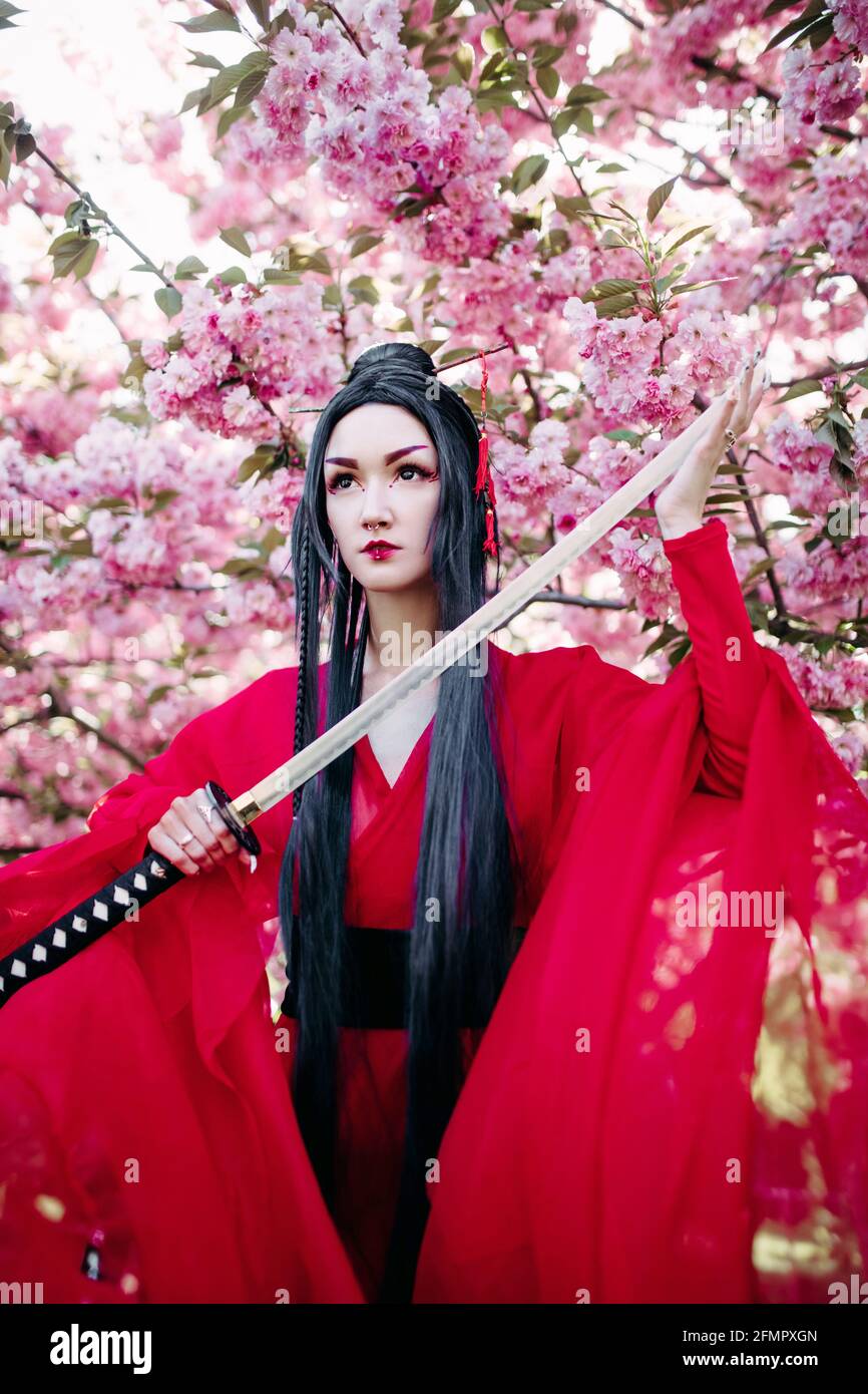 Young woman portrays geisha dressed traditional kimono with Japanese samurai sword in her hand against background of blooming sakura trees. Stock Photo
