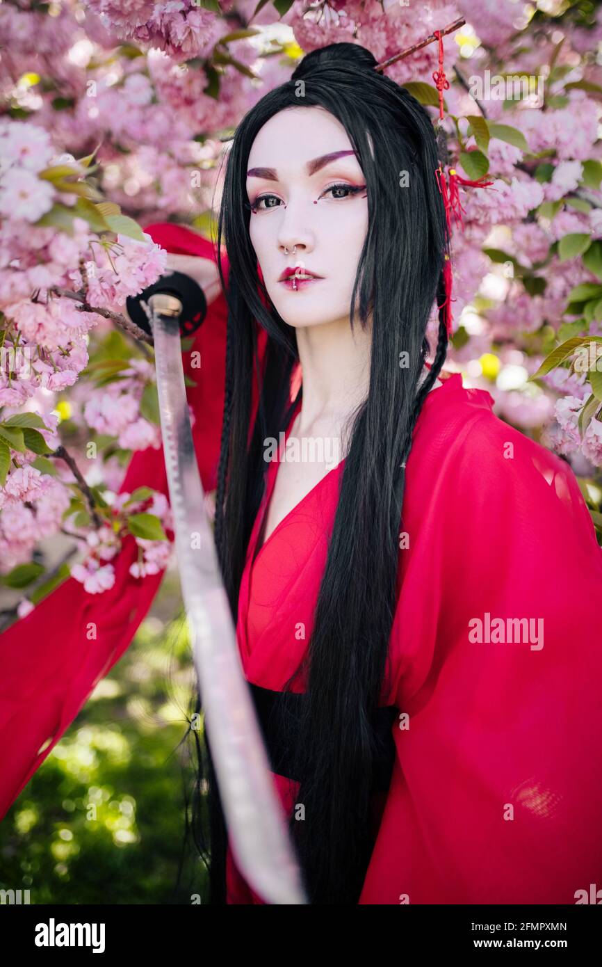 Portrait of young woman in image of geisha dressed traditional kimono with Japanese samurai sword in her hand near blooming sakura trees. Stock Photo