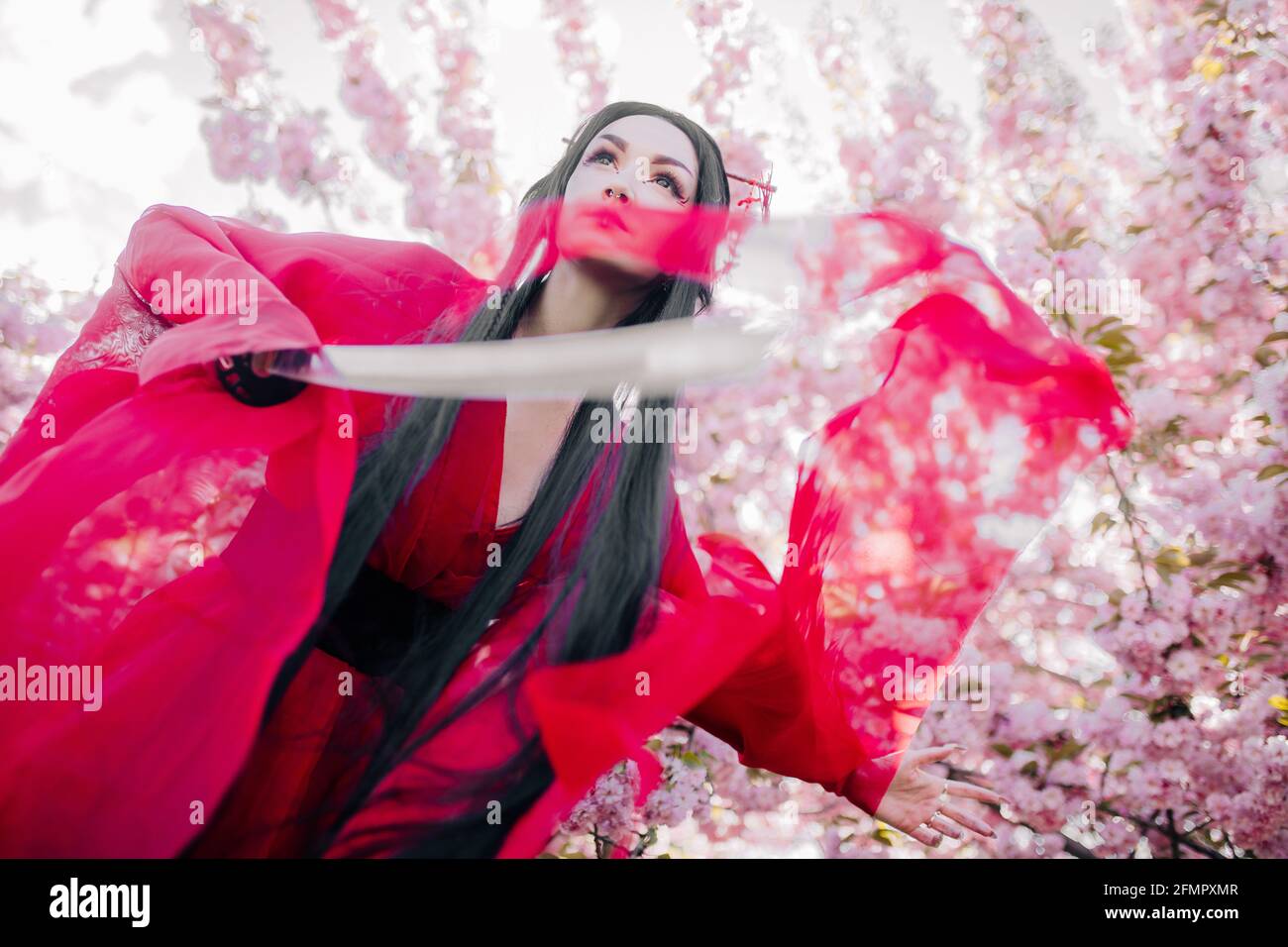 Young woman portrays geisha dressed traditional kimono with Japanese samurai sword in her hand against background of blooming sakura trees. Backlight. Stock Photo