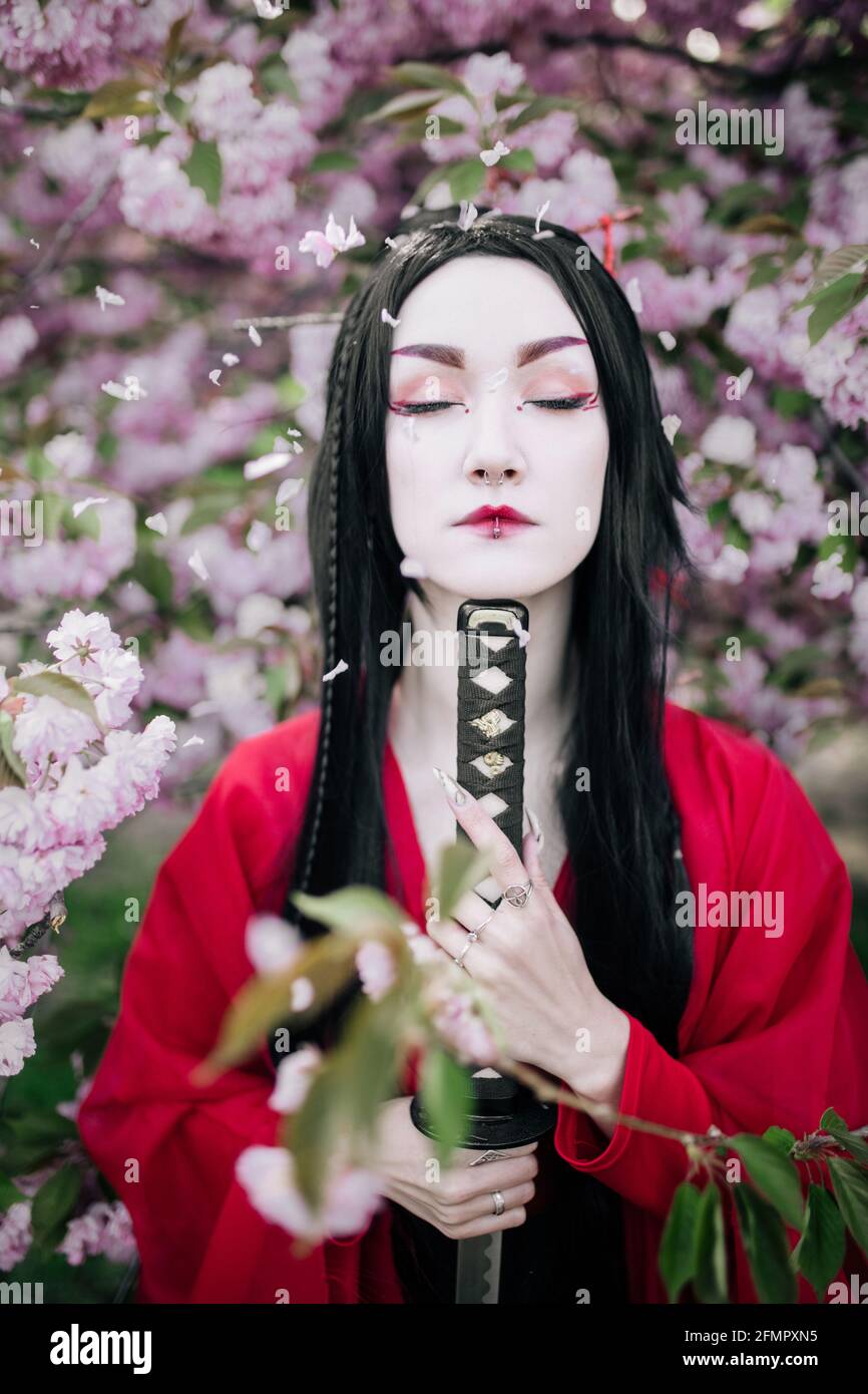 Portrait of young woman in image of geisha dressed traditional kimono with Japanese samurai sword in her hand near blooming sakura trees. Stock Photo