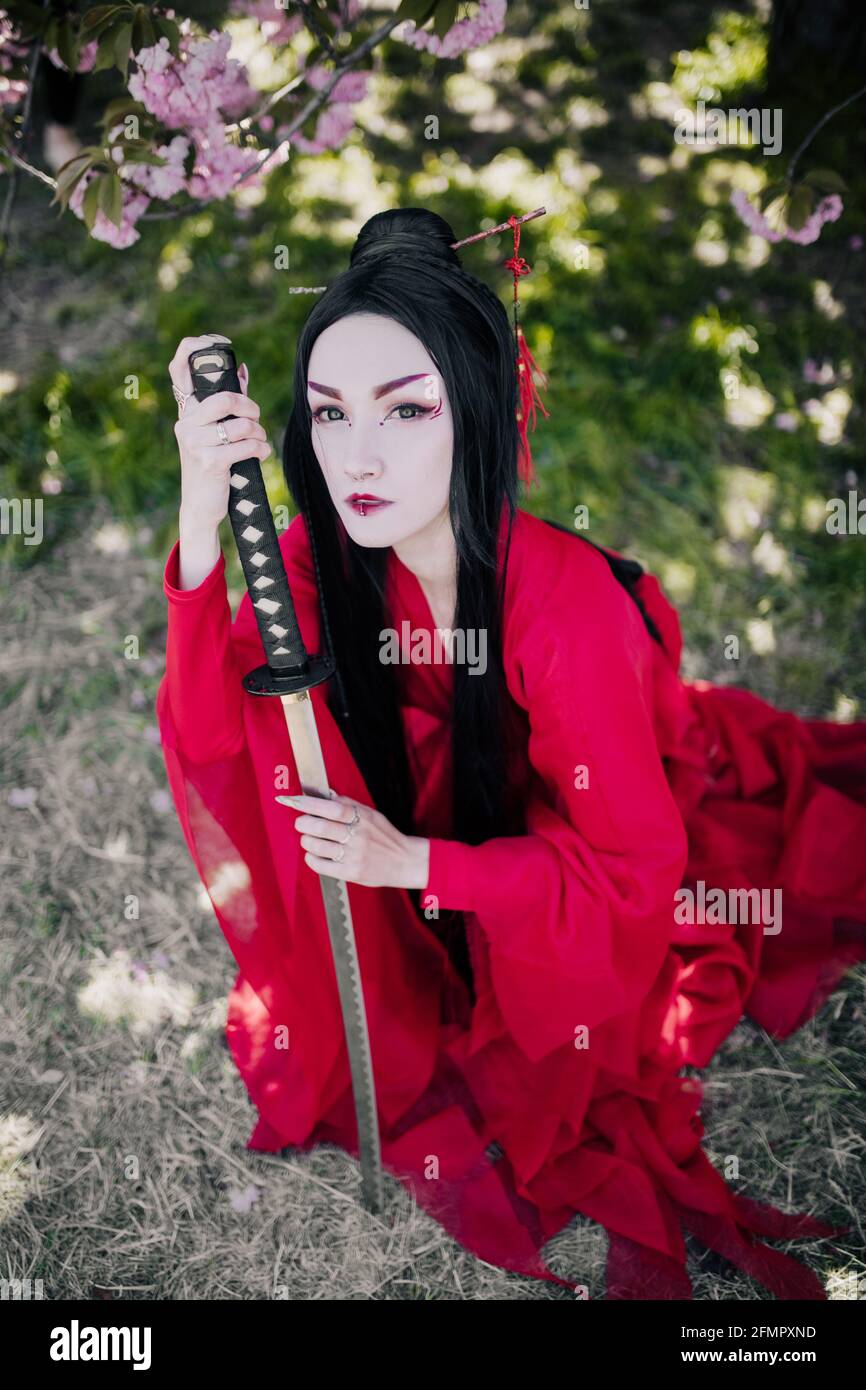 Young woman portrays geisha dressed traditional kimono with Japanese samurai sword in her hand and sits against background of blooming sakura trees. Stock Photo