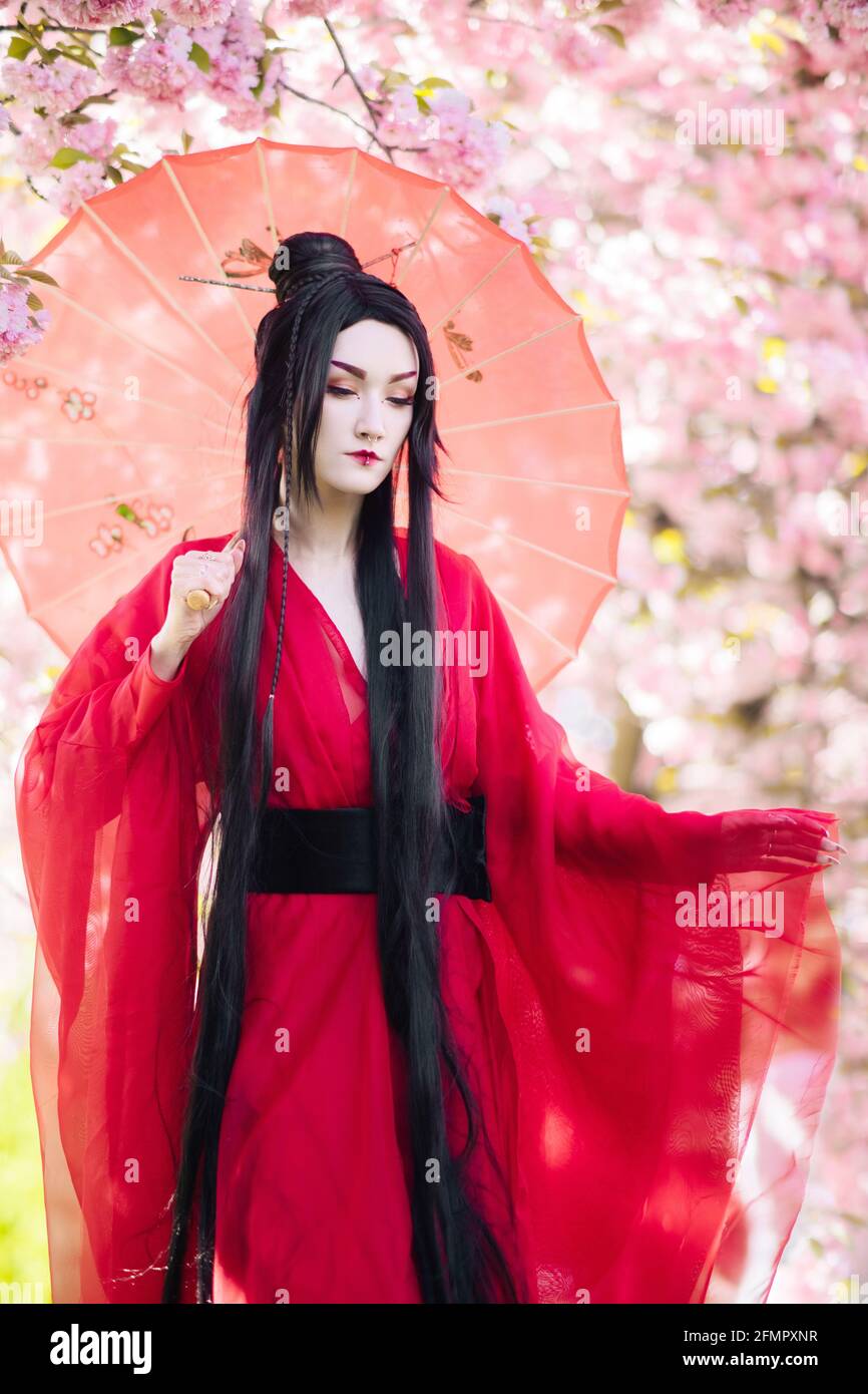 Young woman in image of geisha walks between blooming sakura trees dressed japanese traditional kimono with umbrella in her hand. Stock Photo