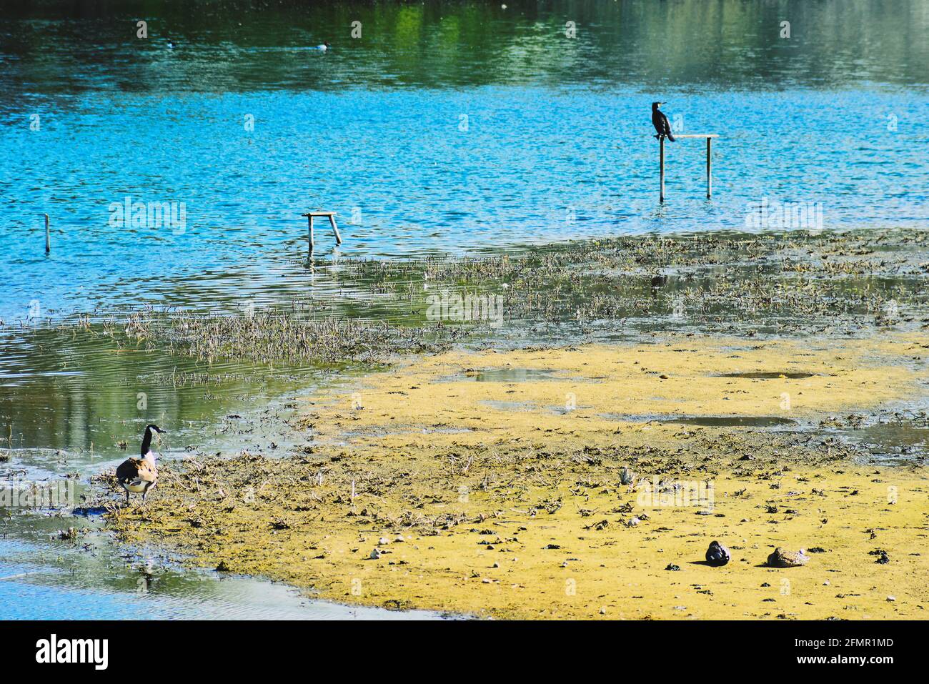Reserve your spot hi-res stock photography and images - Alamy