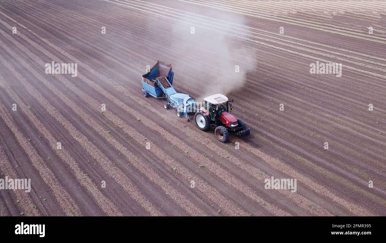 Almond harvest machine hi res stock photography and images Alamy