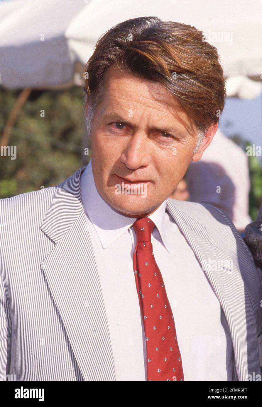 Martin Sheen Circa 1980's Credit: Ralph Dominguez/MediaPunch Stock ...