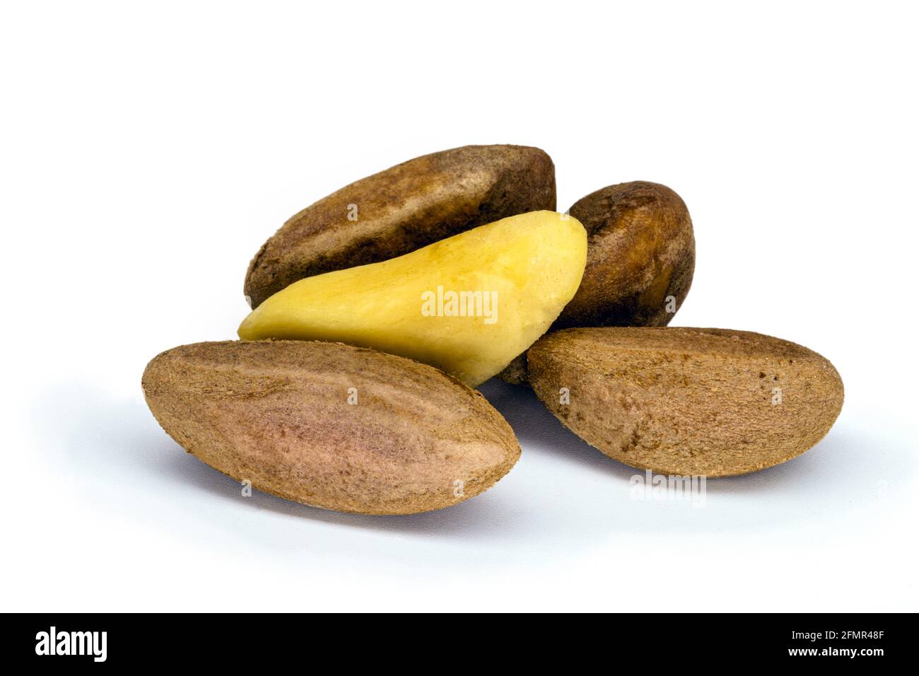Brazilian chestnut natural from the Amazon rainforest, called the amazon nut or nut of pará Stock Photo
