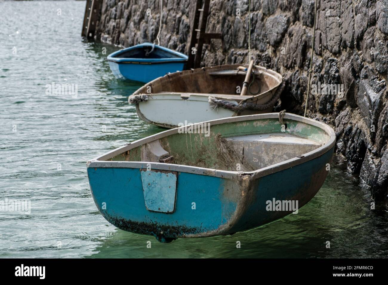 Lizard Rowing A Boat Small boats harbour hi-res stock photography and images - Alamy