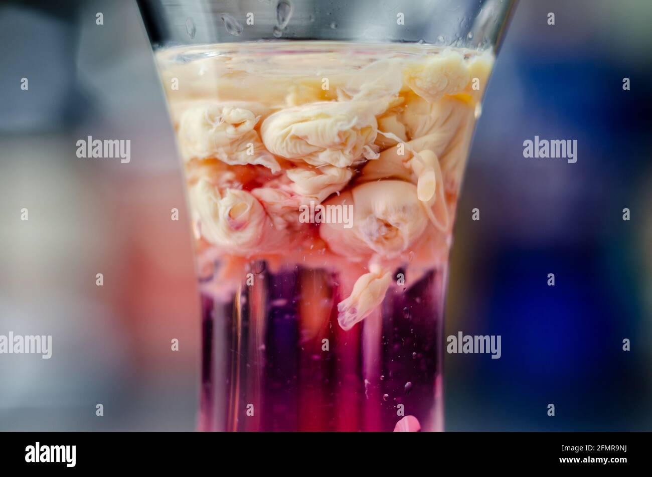 Interesting drink shot based on cream, liqueur and grenadine called Brain Hemorrhage prepared for Halloween party, scary drink Stock Photo