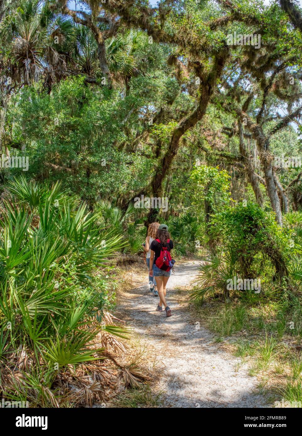 People on The William S Boylston Nature Trail is a 0.9 mile lightly trafficked loop trail in Myakka River State Park in Sarasota Florida USA Stock Photo