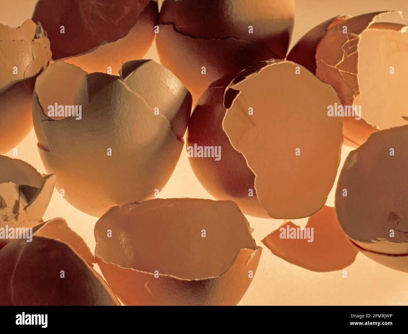 large amount of broken eggshells, illuminated from below Stock Photo
