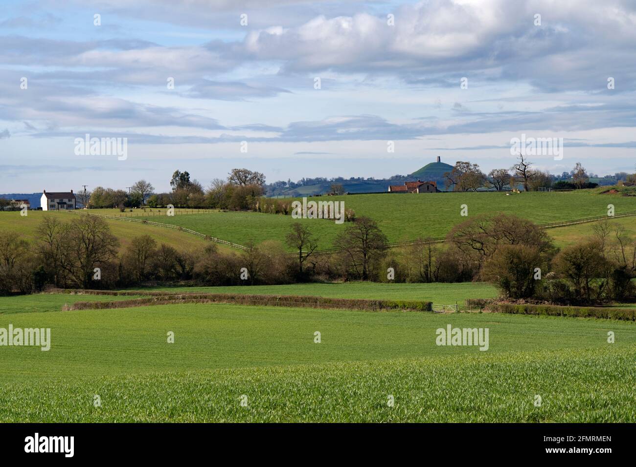 Agricultural area with a view of the Glastonbury Tor Stock Photo