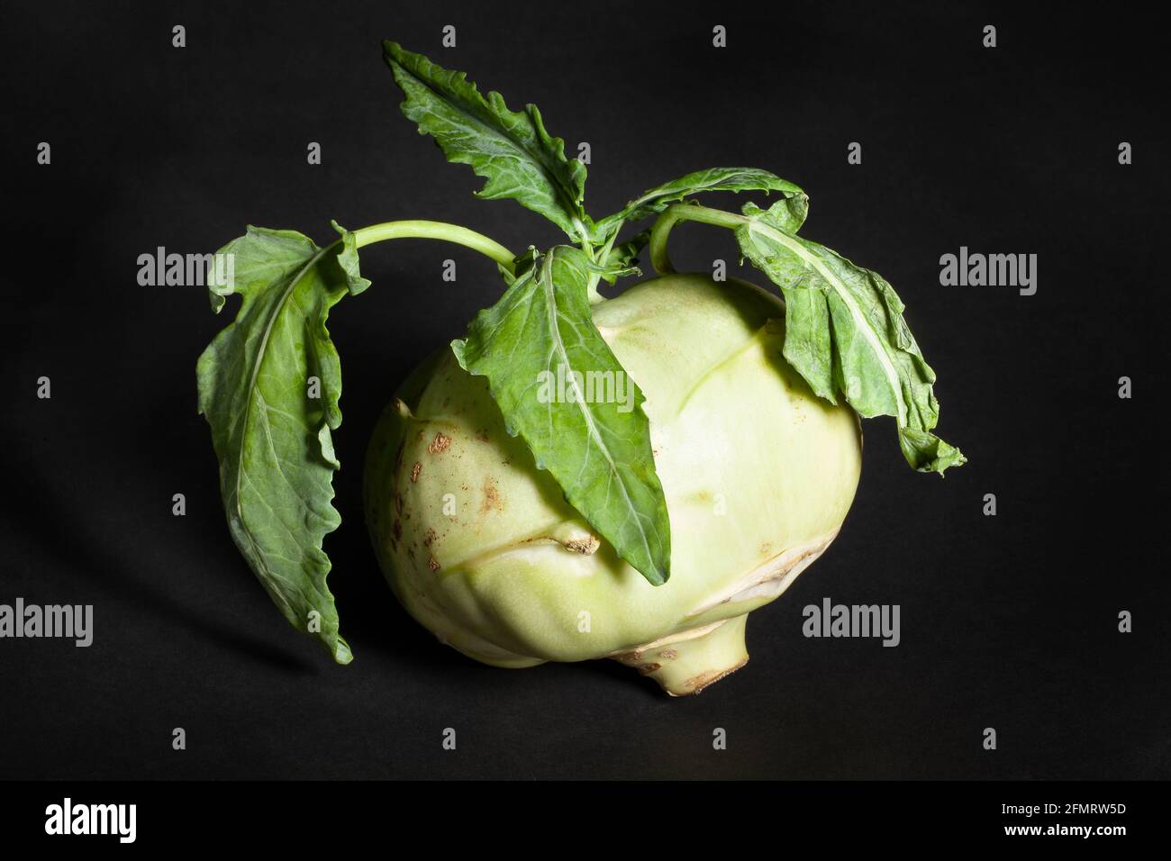 one kohlrabi on black background Stock Photo