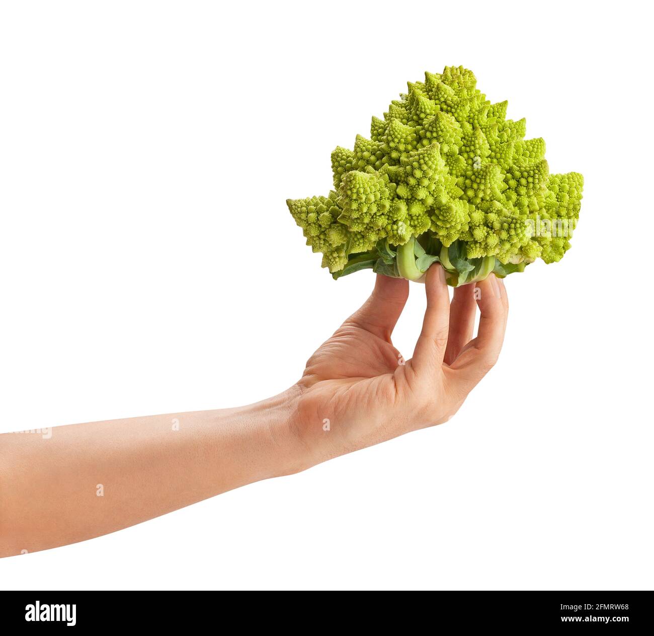 romanesco path isolated on white Stock Photo