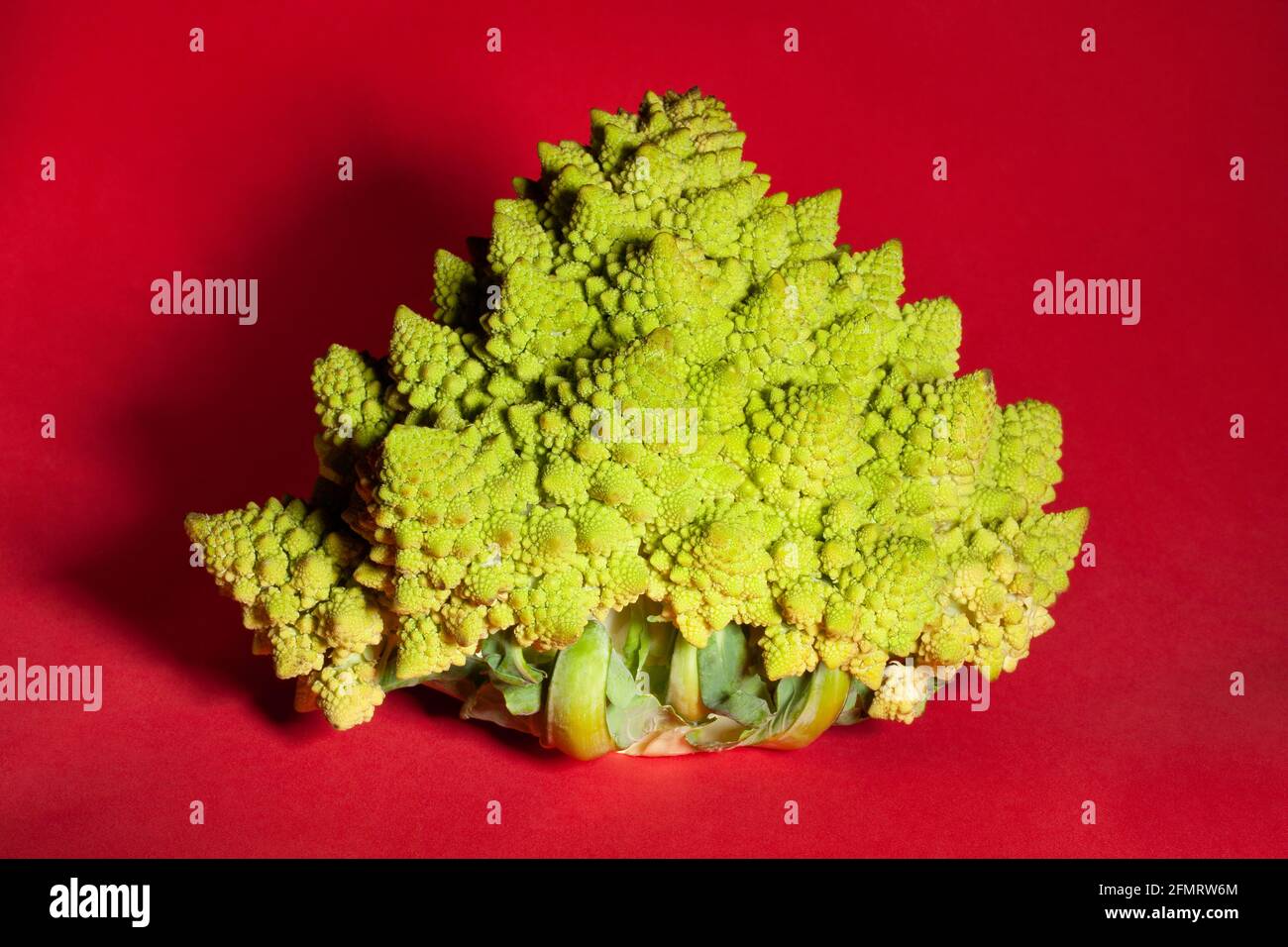 romanesco broccoli on red background Stock Photo