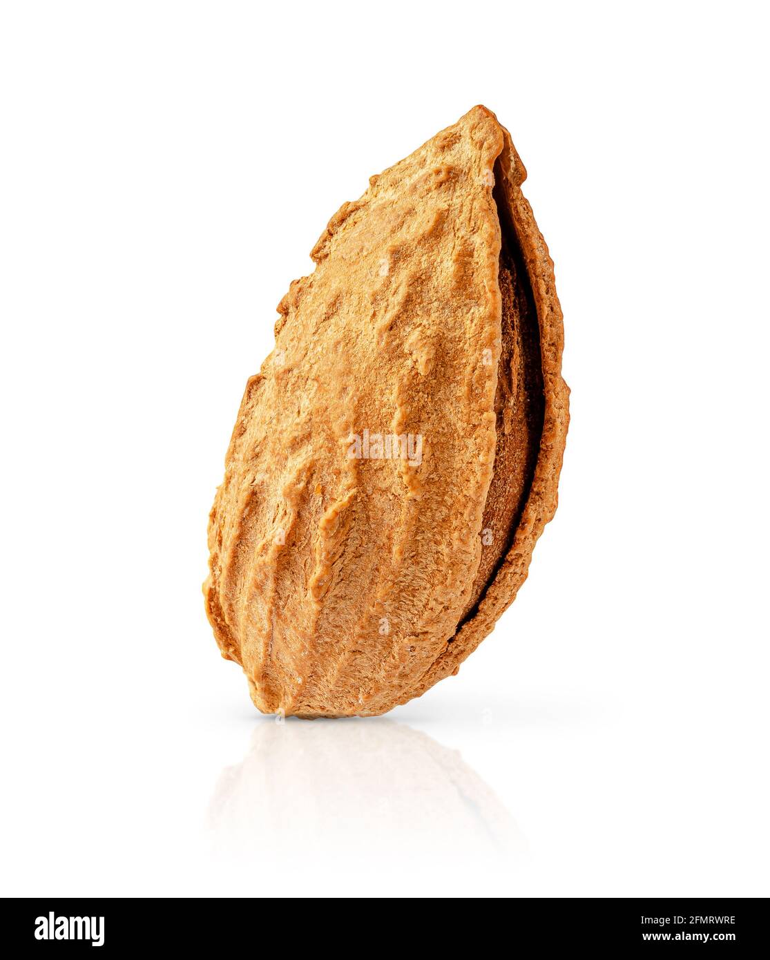 Almond nut in shell isolated with clipping path. Stock Photo