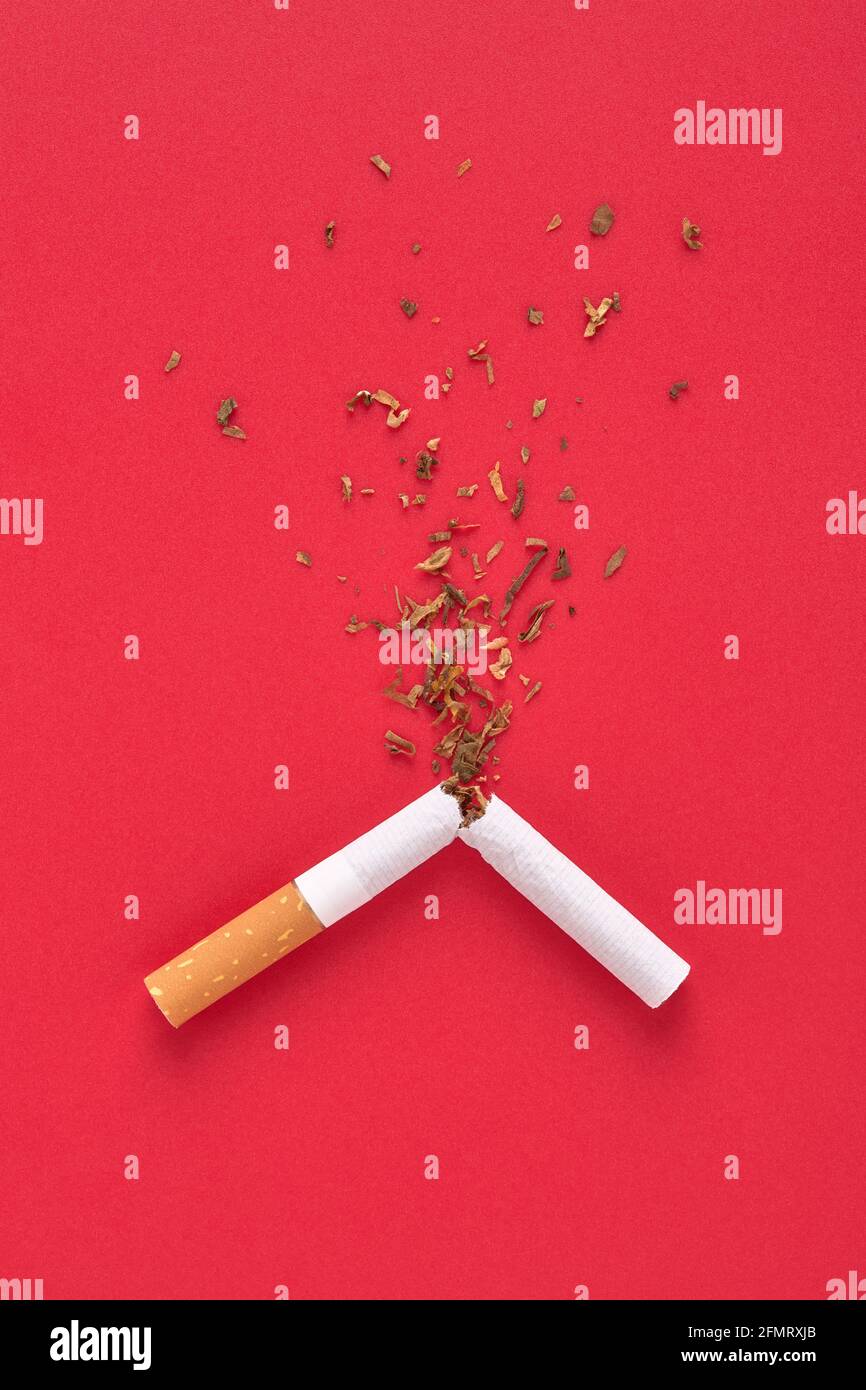 A broken cigarette and tobacco splash for quit smoking concept. Stock Photo