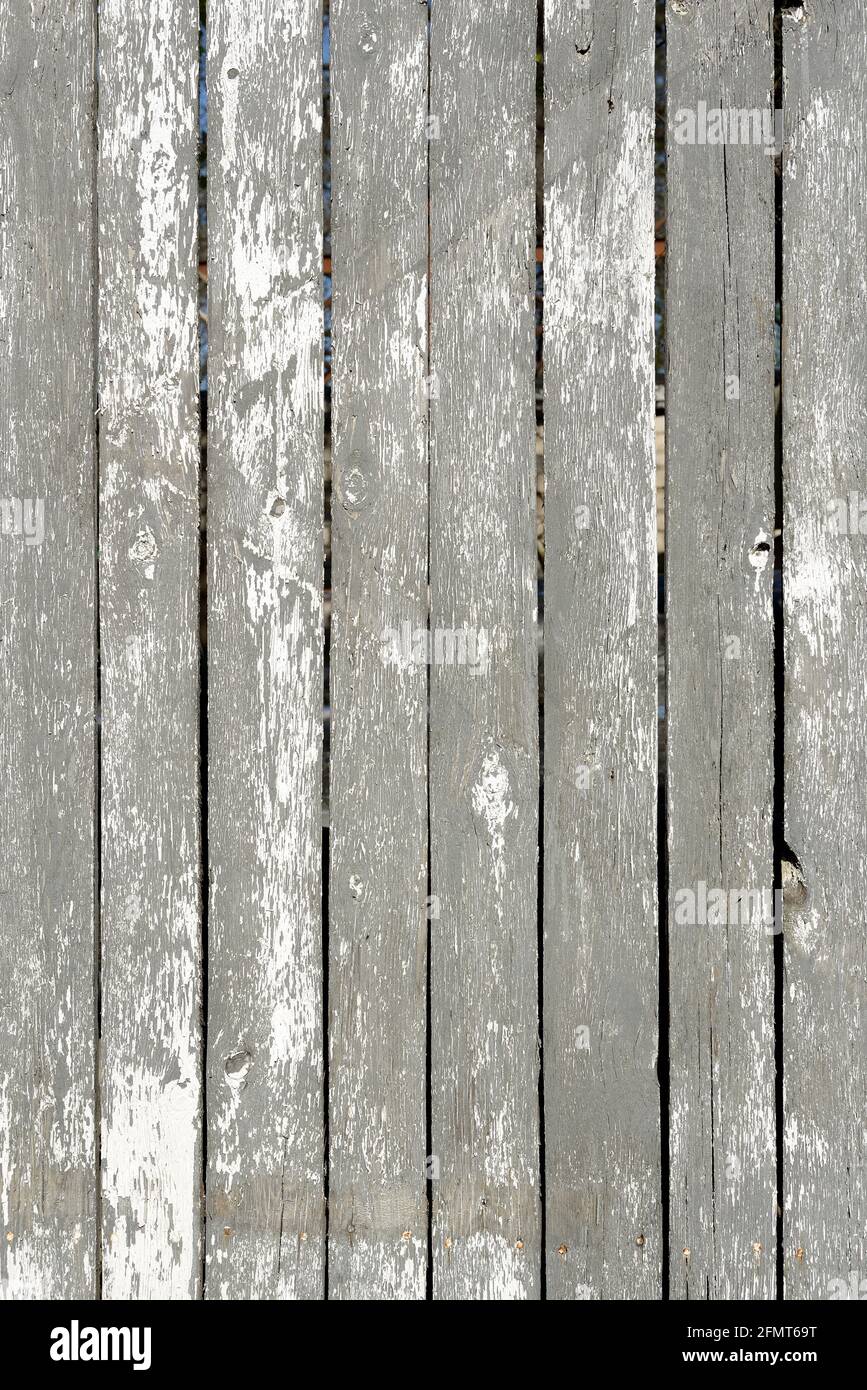 Wood texture creating a nice abstract surface with old white scratched paint. Stock Photo