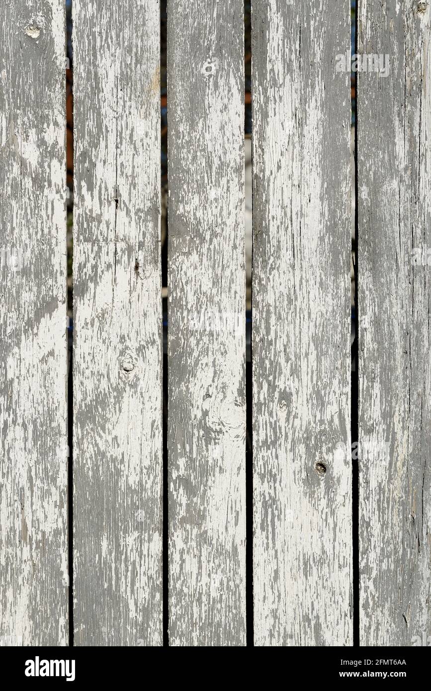 Wood texture creating a nice abstract surface with old white scratched paint. Stock Photo