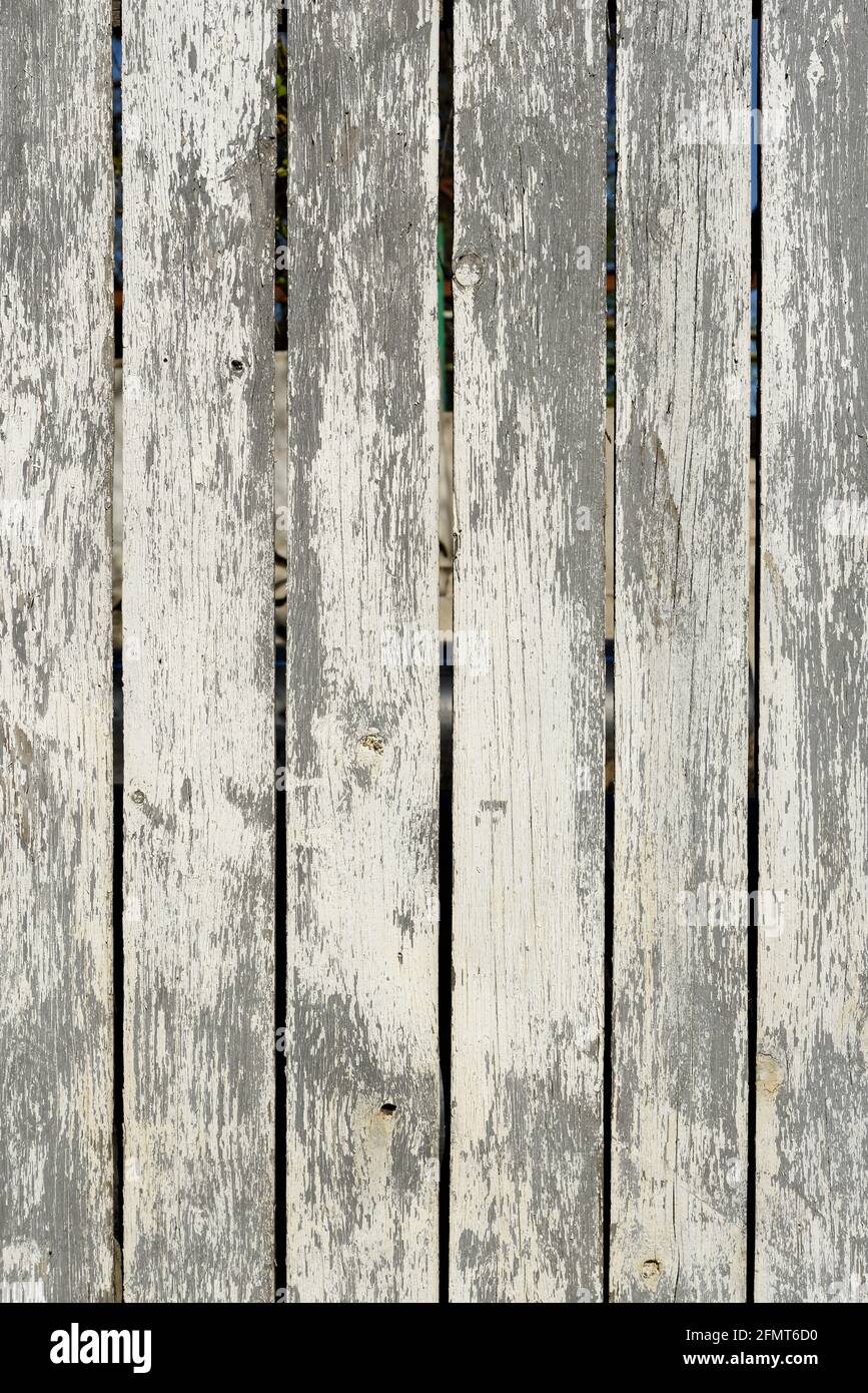 Wood texture creating a nice abstract surface with old white scratched paint. Stock Photo