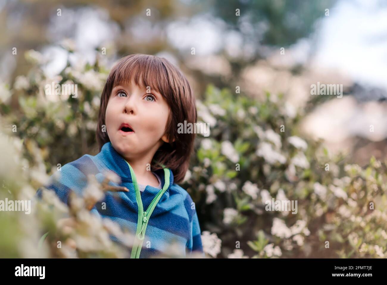 Portrait of young surprised boy , expression on face, kid in the blooming park. Concept of children emotion. Close up. Stock Photo